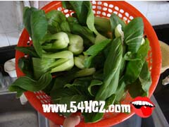 <a href=/shicai/shucai/XiangGu/index.html target=_blank><u>香菇</u></a><a href=/shicai/shucai/CaiXin/index.html target=_blank><u>菜心</u></a>的做法1