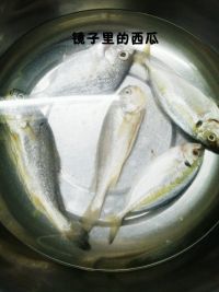 养生食谱大放送