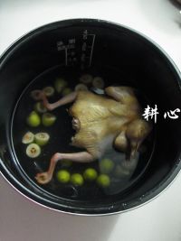 养生食谱大放送